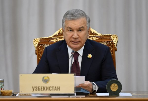 President of Uzbekistan to attend Second World Summit for Social Development