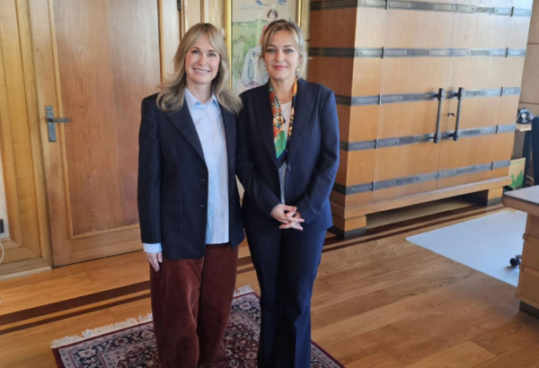 Bosnia, Norway explore knowledge exchange on digitalization