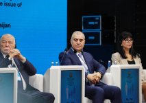 Int'l conference on missing persons wraps up in Azerbaijan's Baku (PHOTO)