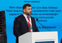 Int'l conference on missing persons wraps up in Azerbaijan's Baku (PHOTO)