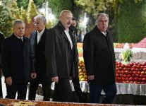 President Ilham Aliyev attends informal dinner for CIS Heads of State in Dushanbe (PHOTO/VIDEO)