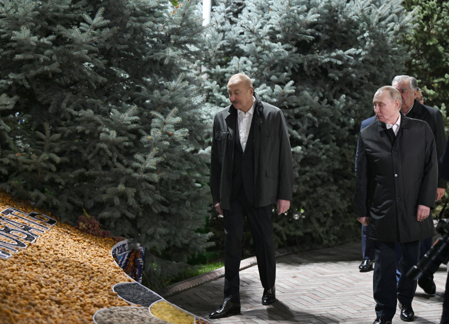 President Ilham Aliyev attends informal dinner for CIS Heads of State in Dushanbe (PHOTO/VIDEO)