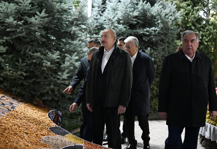 President Ilham Aliyev attends informal dinner for CIS Heads of State in Dushanbe (PHOTO/VIDEO)