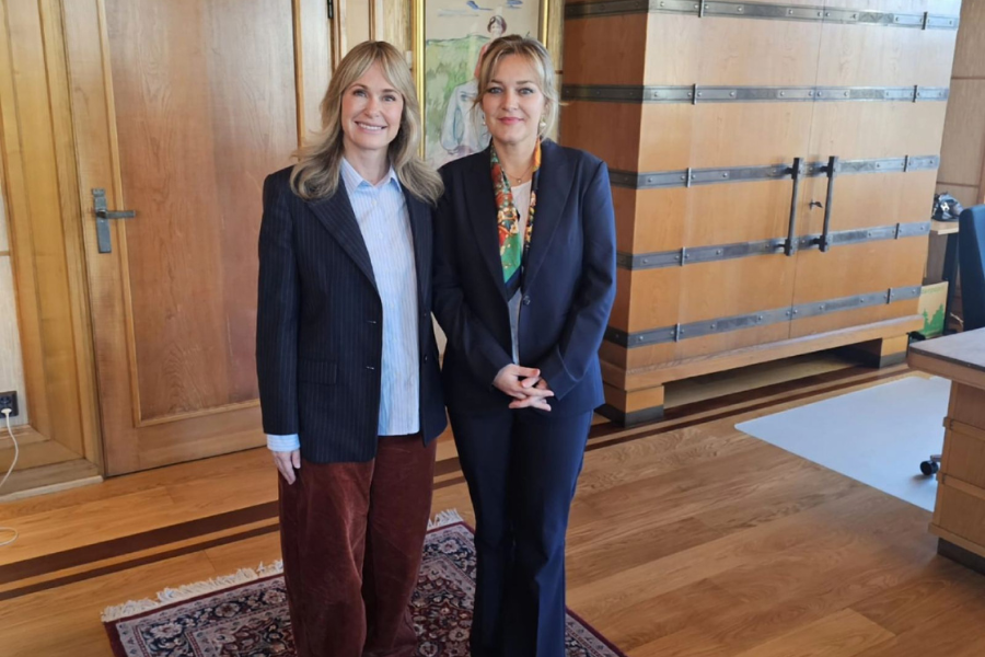 Bosnia, Norway explore knowledge exchange on digitalization