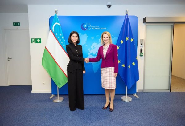 Uzbekistan, EU officials discuss regional issues and future collaboration