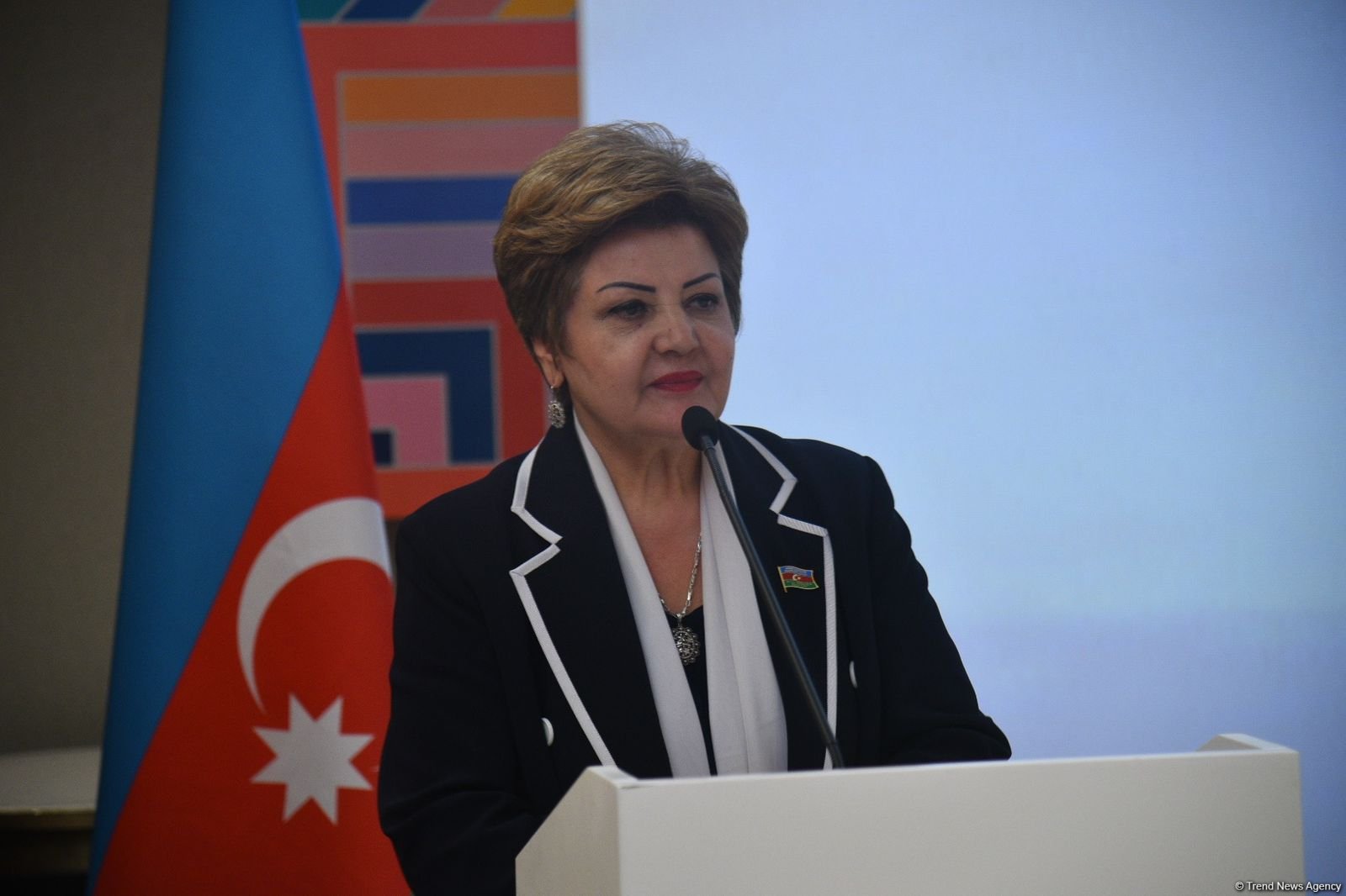 OTS becomes powerful factor in regional stability, Azerbaijani MP says