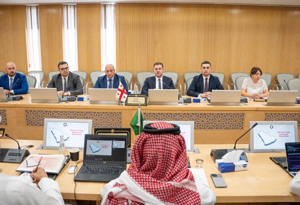 Georgia, GCC move toward free trade agreement talks