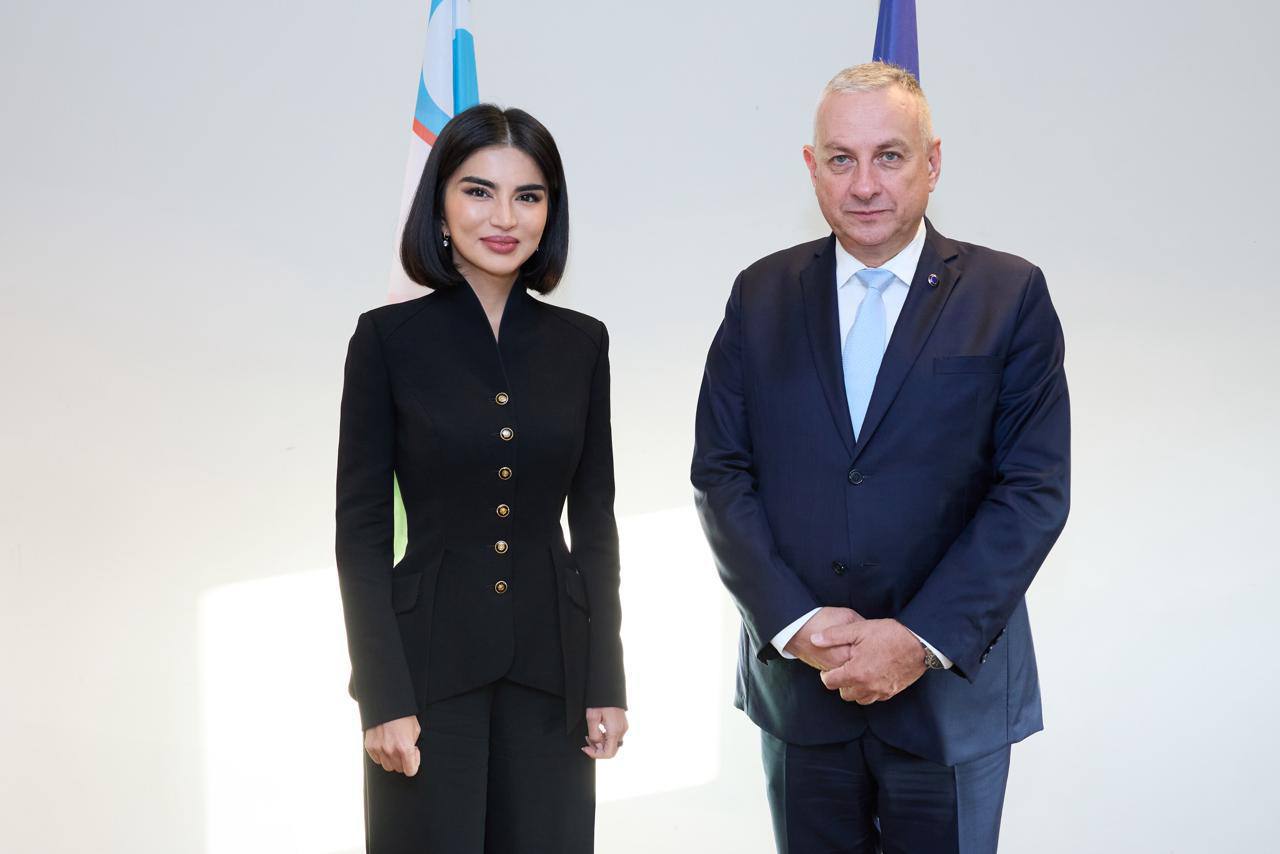 Uzbekistan, EU discuss expansion of strategic partnership