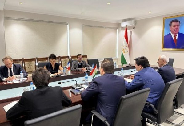 Tajikistan and France explore co-op in civil aviation and airbus ventures
