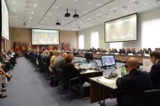 Bosnia сhairs 5th Review Conference in Vienna (PHOTO)