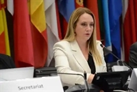 Bosnia сhairs 5th Review Conference in Vienna (PHOTO)