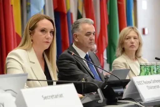 Bosnia сhairs 5th Review Conference in Vienna (PHOTO)