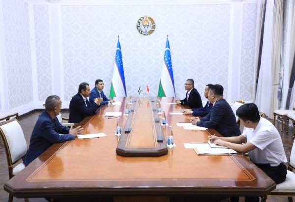 Uzbekistan, China join forces to kickstart renewables projects in Fergana