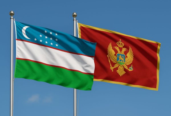 Montenegro pulls plug on visa-free travel for Uzbek citizens