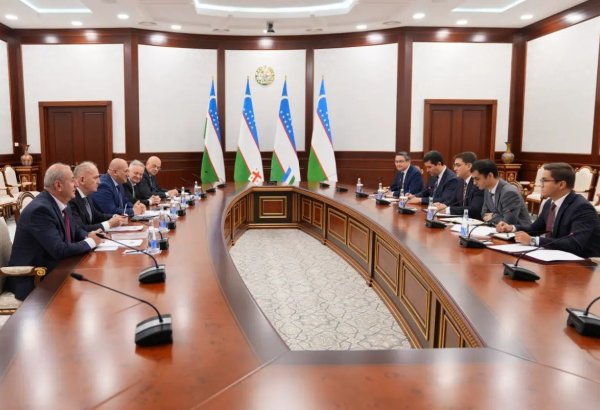 Uzbekistan, Georgia identify core co-op areas and future strategies