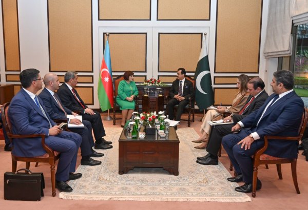 Speaker of Azerbaijani Parliament meets with chairman of Pakistan Senate (PHOTO)