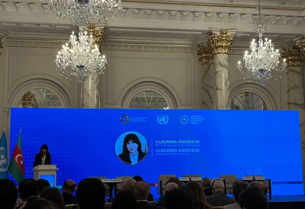 UN coordinator in Azerbaijan highlights key role of sustainable dev't in quality education