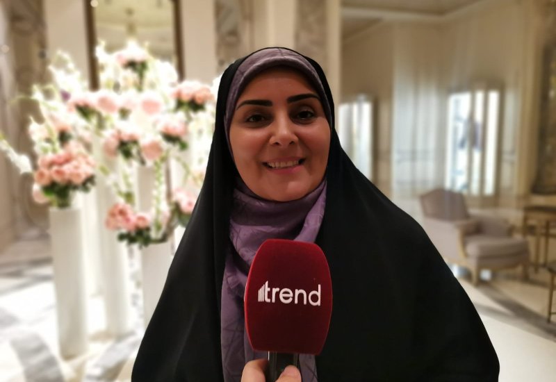 Iran updates on progress, timing of Rasht-Astara railway construction (Exclusive interview)