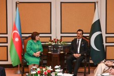 Speaker of Azerbaijani Parliament meets with chairman of Pakistan Senate (PHOTO)