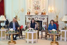 Azerbaijani parliament speaker meets chief minister of Pakistan's Punjab Province (PHOTO)