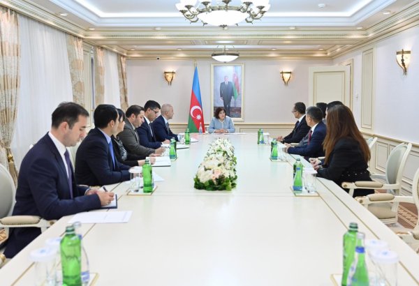 Azerbaijani parliament speaker receives new TURKPA chief-led delegation (PHOTO)