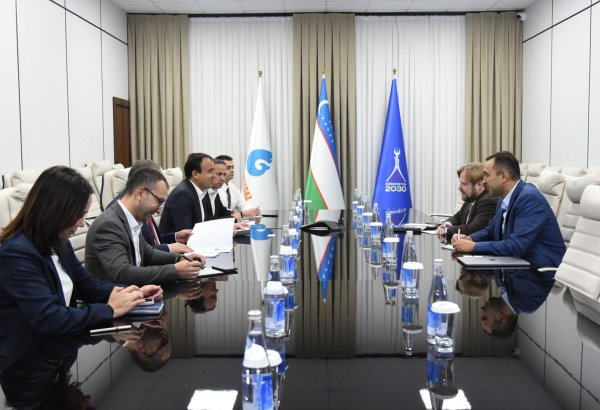 Uzbekneftegaz taps McKinsey’s strategy to reinforce energy sector stability