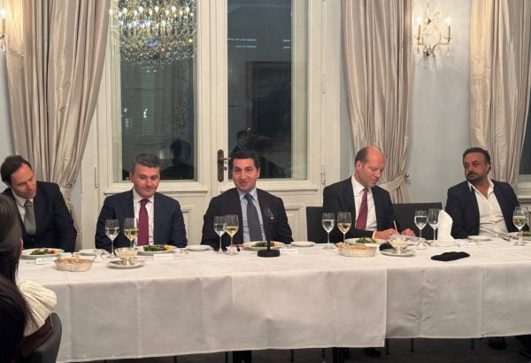 Azerbaijani Presidential aide holds discussions at German Parliamentary Society (PHOTO)