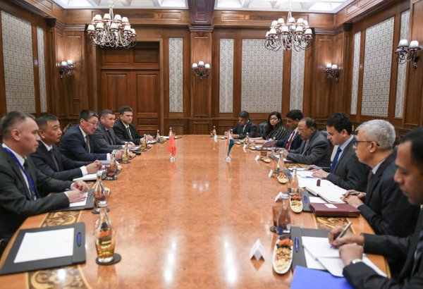 Kyrgyzstan, India discuss cooperation on terrorism and transnational crime