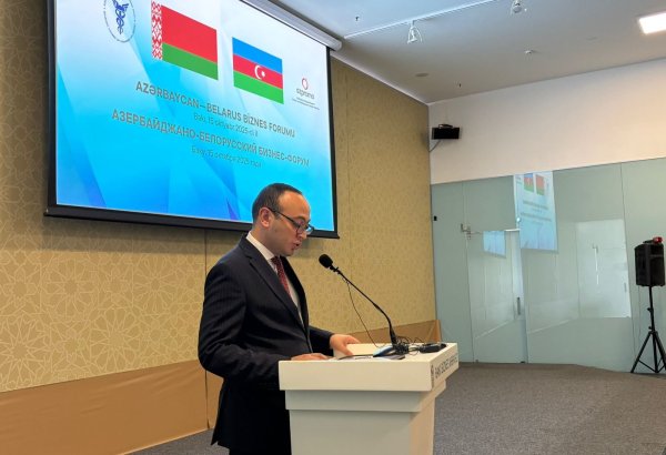 Azerbaijan and Belarus set stage for new joint venture projects - official