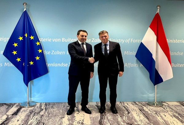 Azerbaijan, Netherlands target expansion of political and economic cooperation