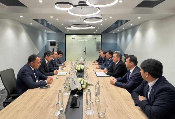 Uzbekistan, Tajikistan forge path for expanded telecom cooperation