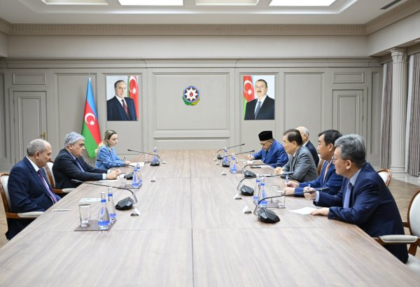 Azerbaijan's deputy prime minister debates Asian partnership boost with ICAPP delegates