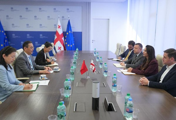 Georgia to showcase over 40 companies at China Int'l Import Expo