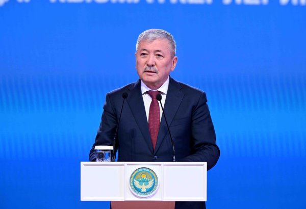 Kyrgyzstan strives to fully realize its transit potential - chairperson