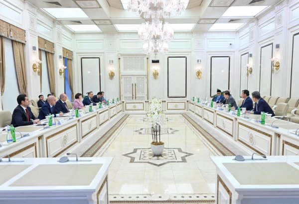 Azerbaijani Parliament chief, ICAPP Standing Committee chairman moot Asian political co-op