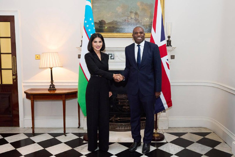 Uzbekistan and UK explore new frontiers in education and workforce dev't