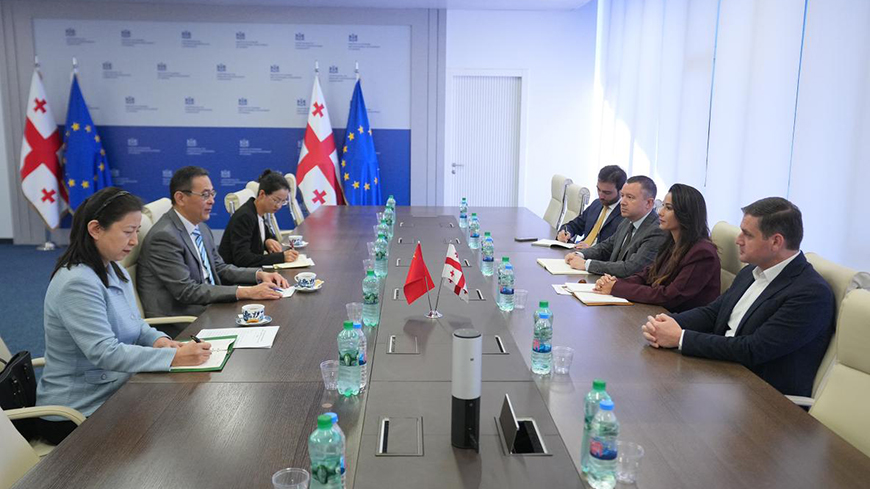 Georgia to showcase over 40 companies at China Int'l Import Expo