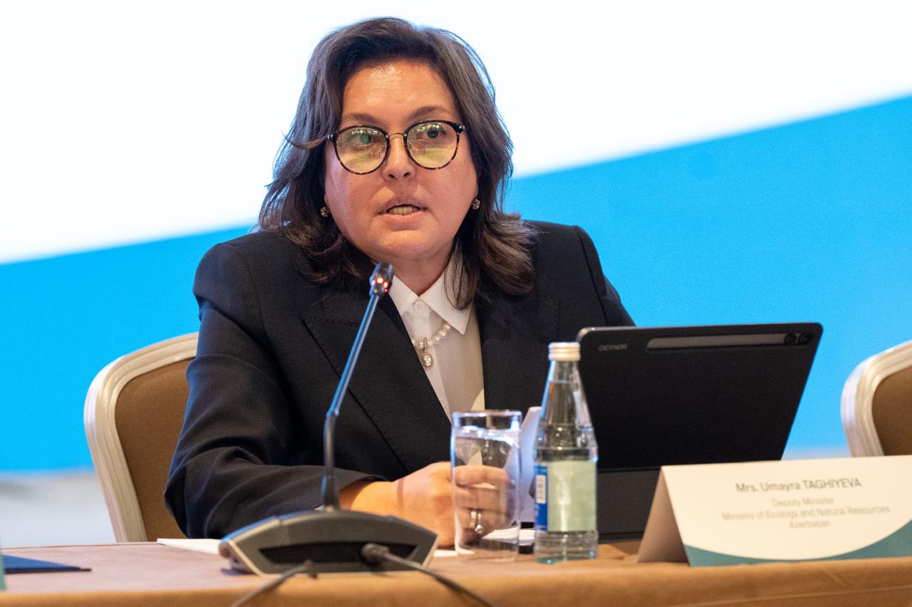 Azerbaijan hosts high-stake climate and urban dialogue under D-8 umbrella (PHOTO)