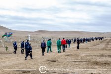 Baku Steel Company strengthens its contribution to environmental protection: about 3,000 trees planted (PHOTO)