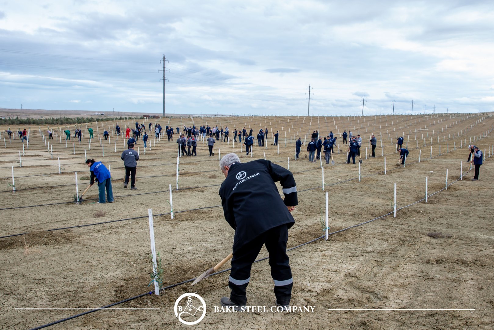 Baku Steel Company strengthens its contribution to environmental protection: about 3,000 trees planted (PHOTO)