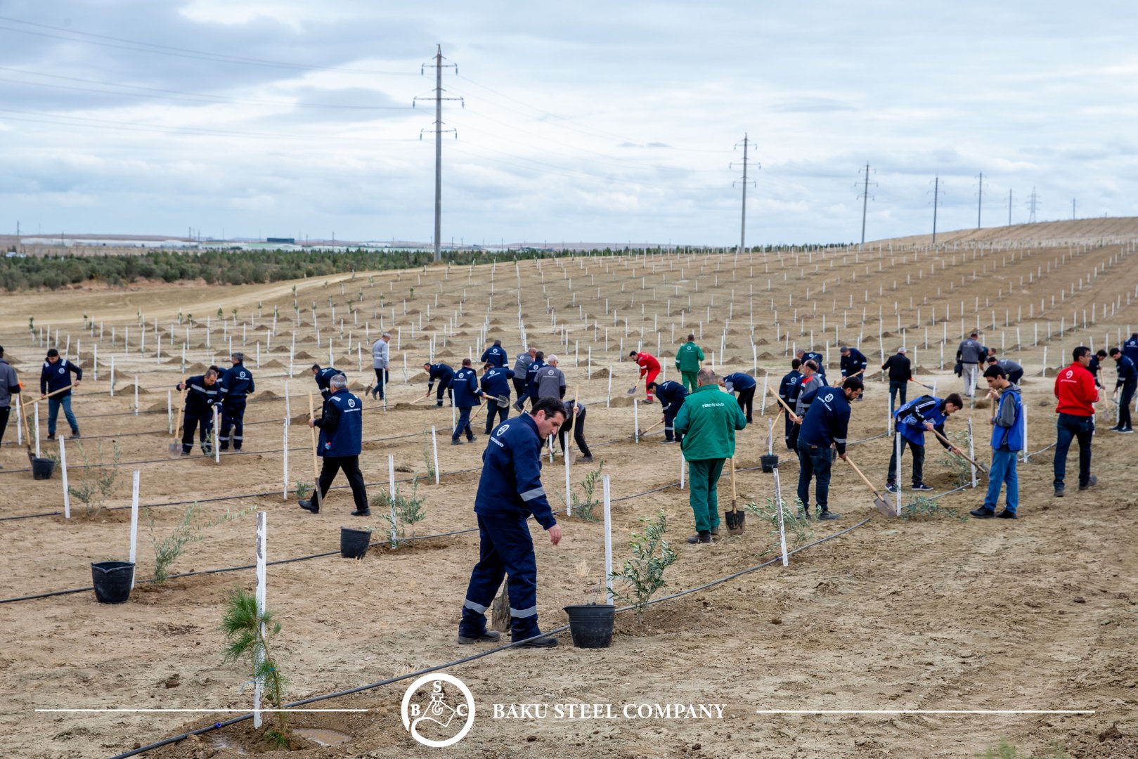 Baku Steel Company strengthens its contribution to environmental protection: about 3,000 trees planted (PHOTO)