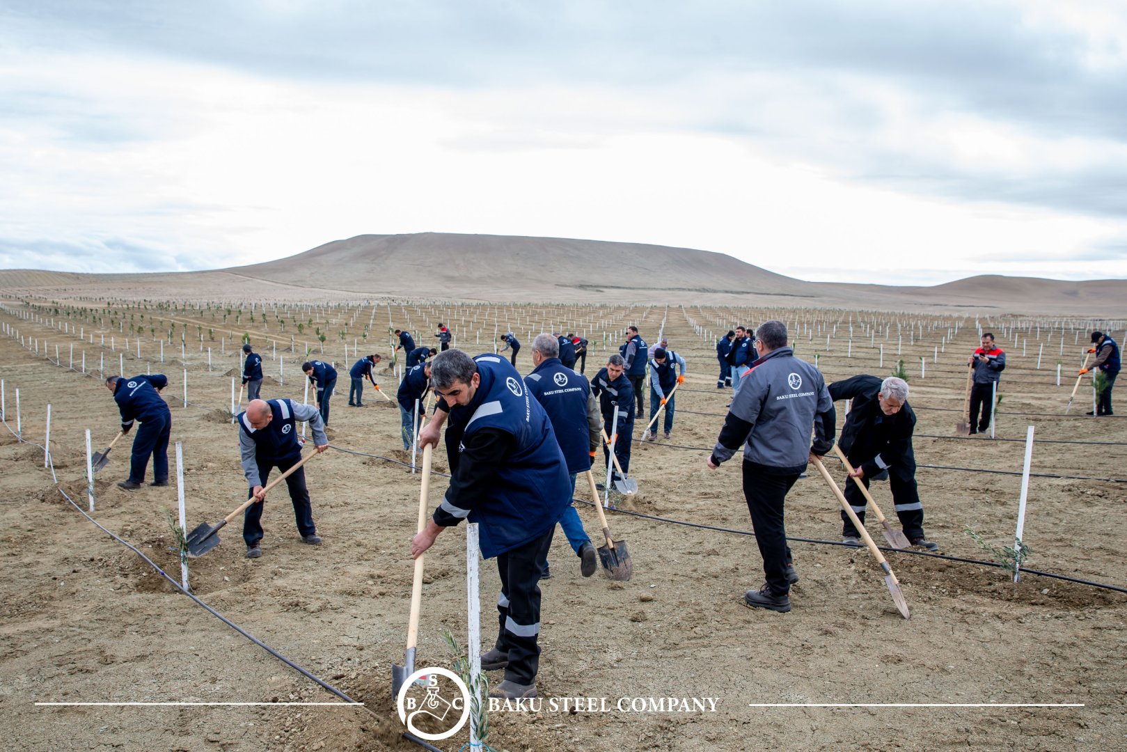 Baku Steel Company strengthens its contribution to environmental protection: about 3,000 trees planted (PHOTO)