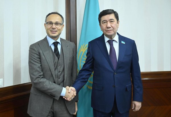 TURKPA puts forward idea of holding annual meetings of Turkic parliaments' speakers