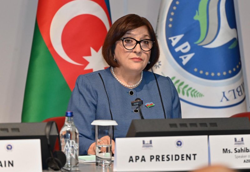 Speaker of Milli Majlis Sahiba Gafarova chairs co–ordination meeting of Asian Parliamentary Assembly in Geneva (PHOTO)
