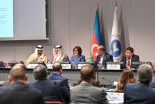 Speaker of Milli Majlis Sahiba Gafarova chairs co–ordination meeting of Asian Parliamentary Assembly in Geneva (PHOTO)