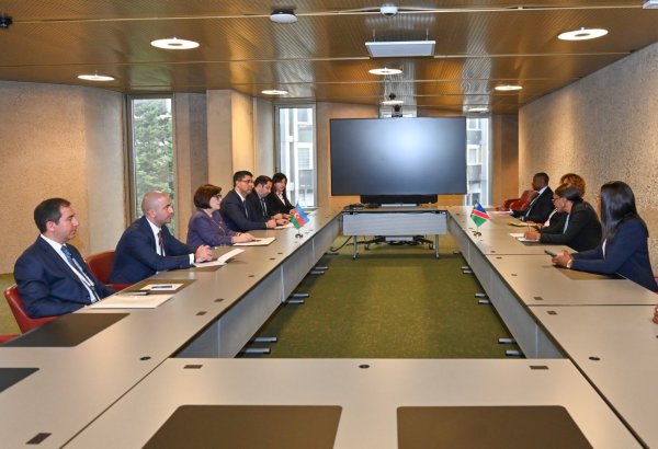 Azerbaijani parliament speaker meets with speakers of parliaments of Namibia and Bosnia and Herzegovina (PHOTO)