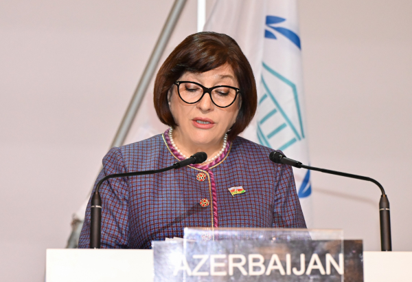 Speaker of Azerbaijani Parliament praises visit by Spanish counterpart