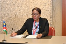 Azerbaijani parliament speaker meets with speakers of parliaments of Namibia and Bosnia and Herzegovina (PHOTO)