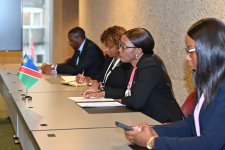 Azerbaijani parliament speaker meets with speakers of parliaments of Namibia and Bosnia and Herzegovina (PHOTO)