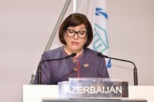 Azerbaijani parliament speaker addresses 151st Assembly of IPU (PHOTO)